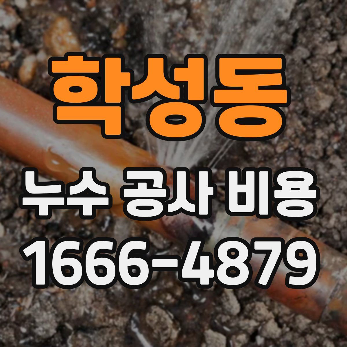 학성동 누수 공사 비용