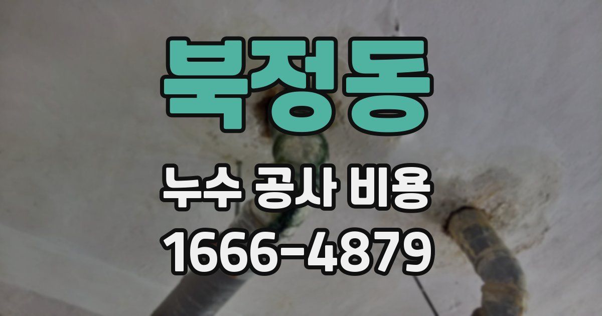 북정동 누수 공사 비용