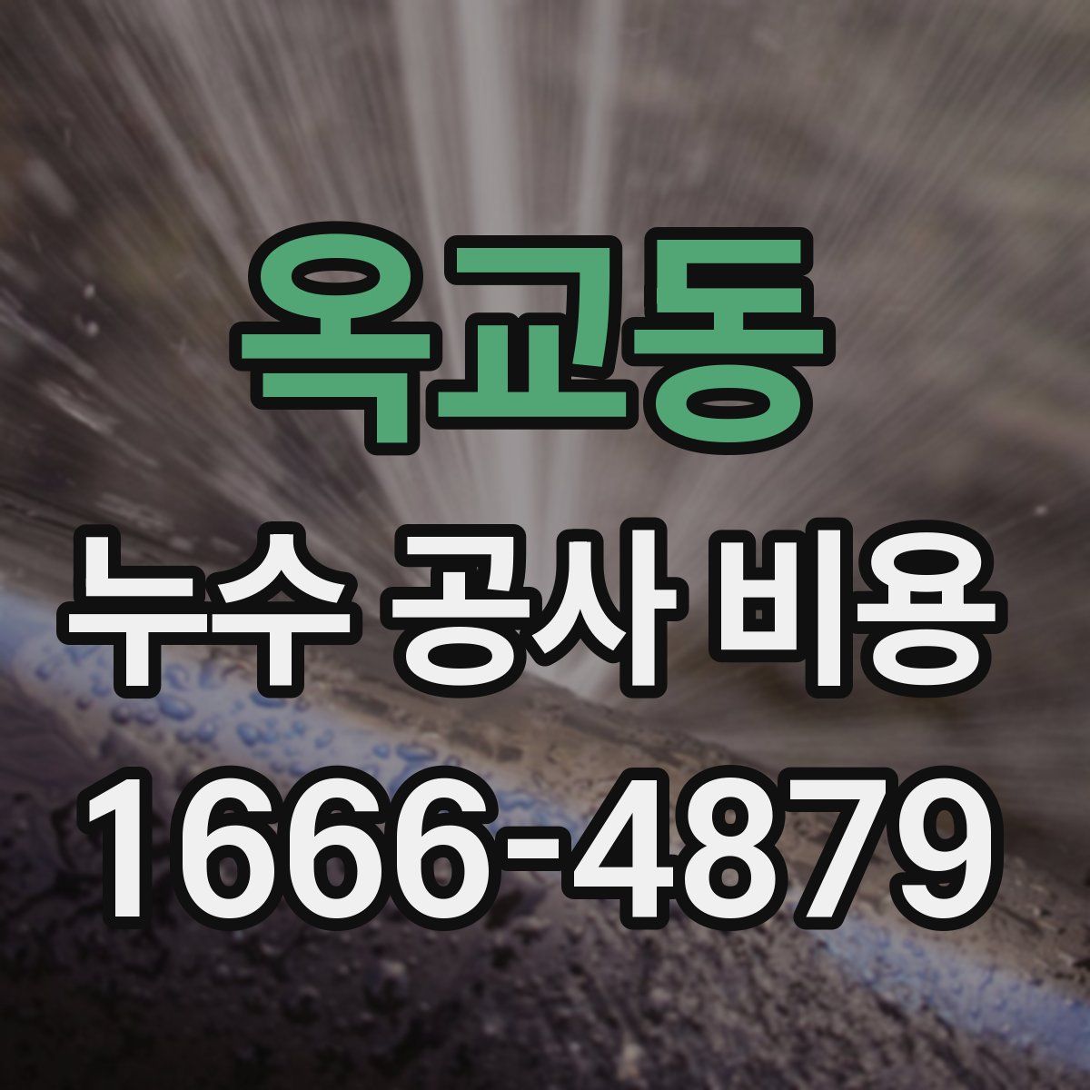 옥교동 누수 공사 비용