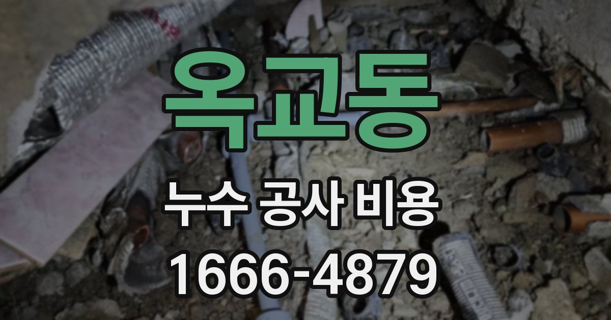 옥교동 누수 공사 비용
