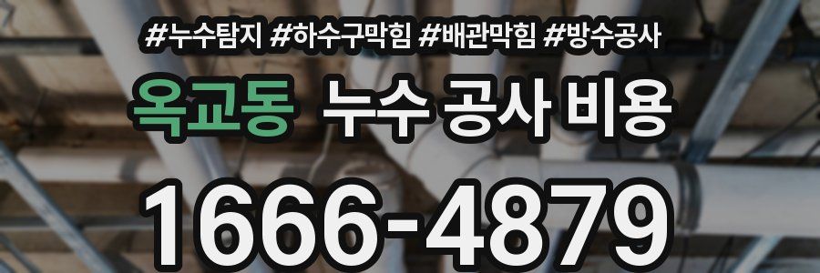 옥교동 누수 공사 비용