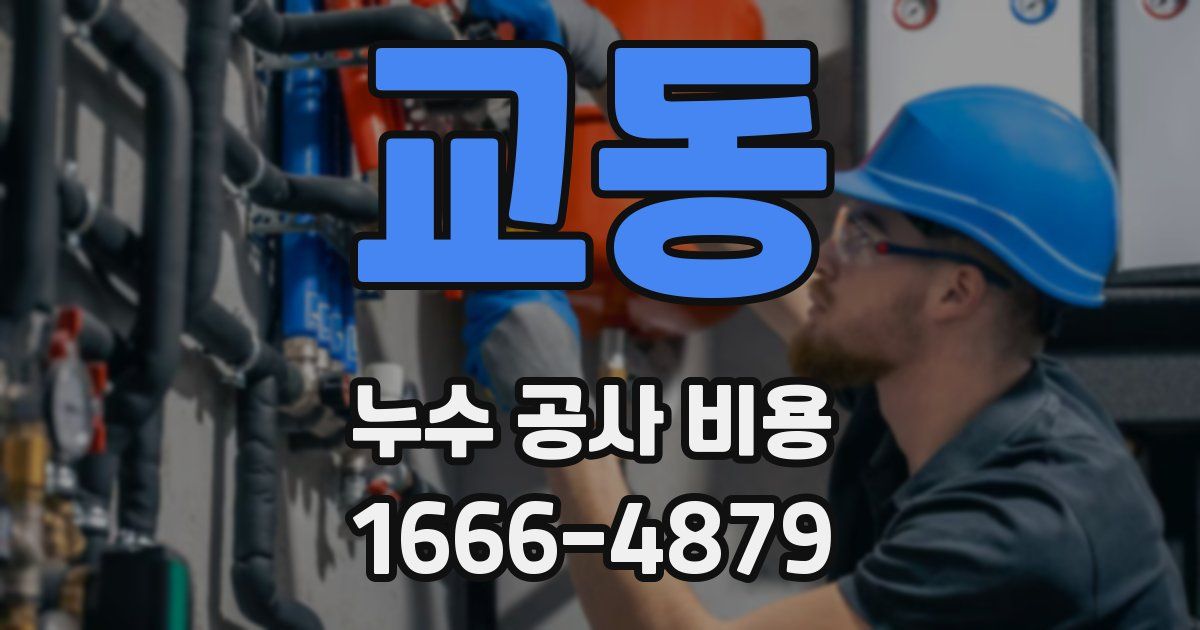 교동 누수 공사 비용