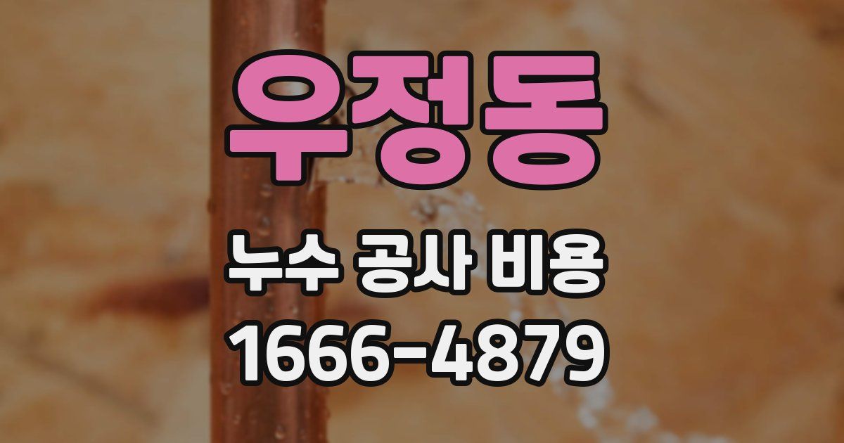 우정동 누수 공사 비용