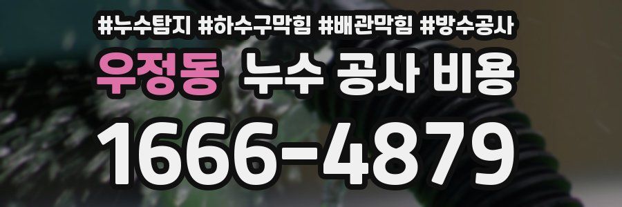 우정동 누수 공사 비용