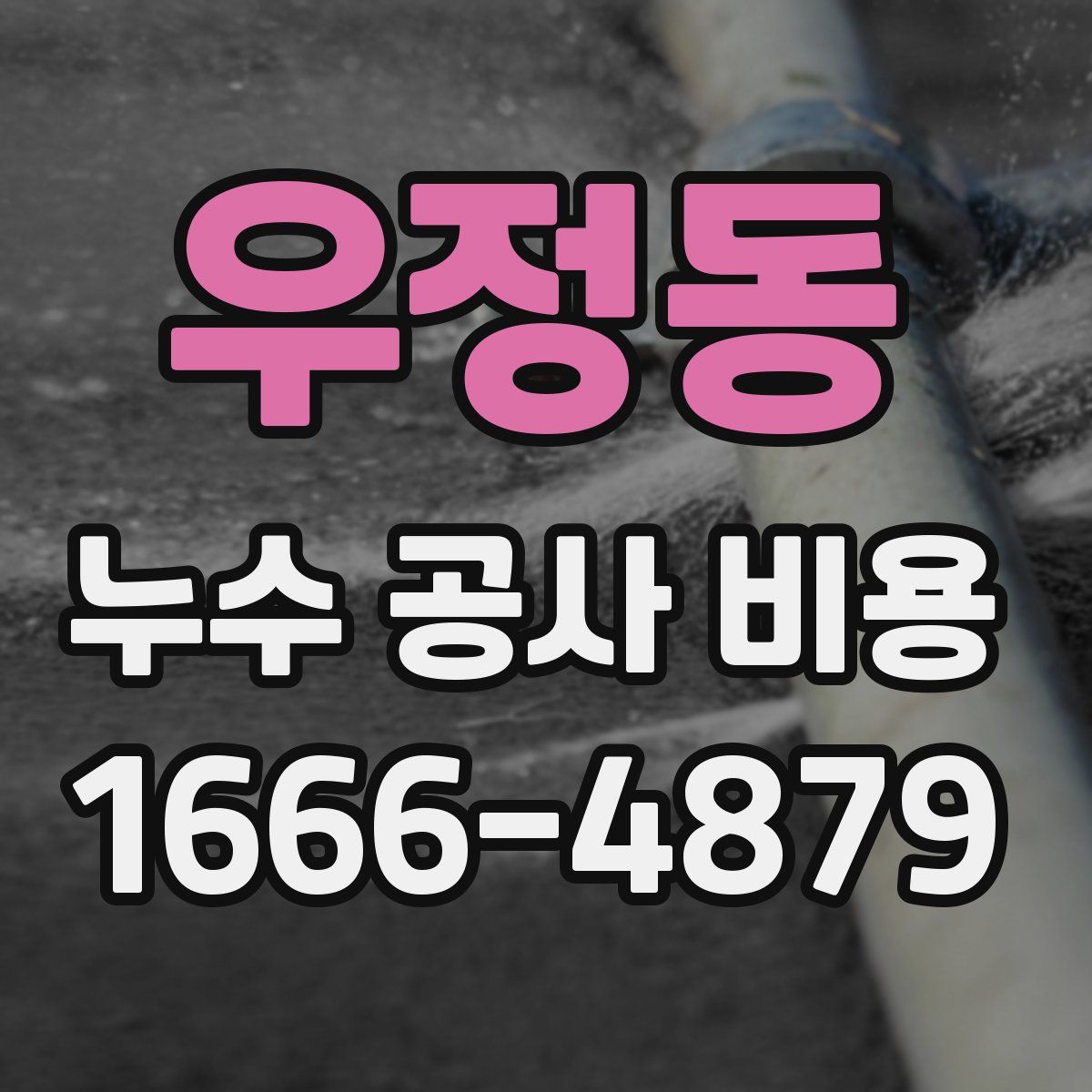 우정동 누수 공사 비용