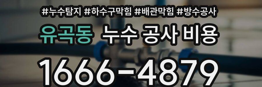 유곡동 누수 공사 비용