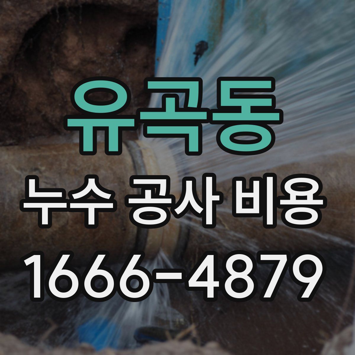 유곡동 누수 공사 비용