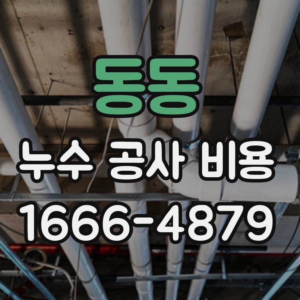 동동 누수 공사 비용