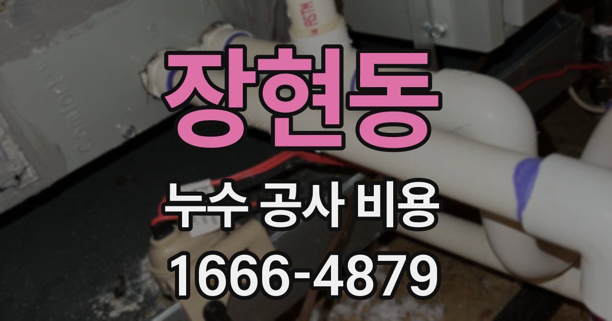 장현동 누수 공사 비용