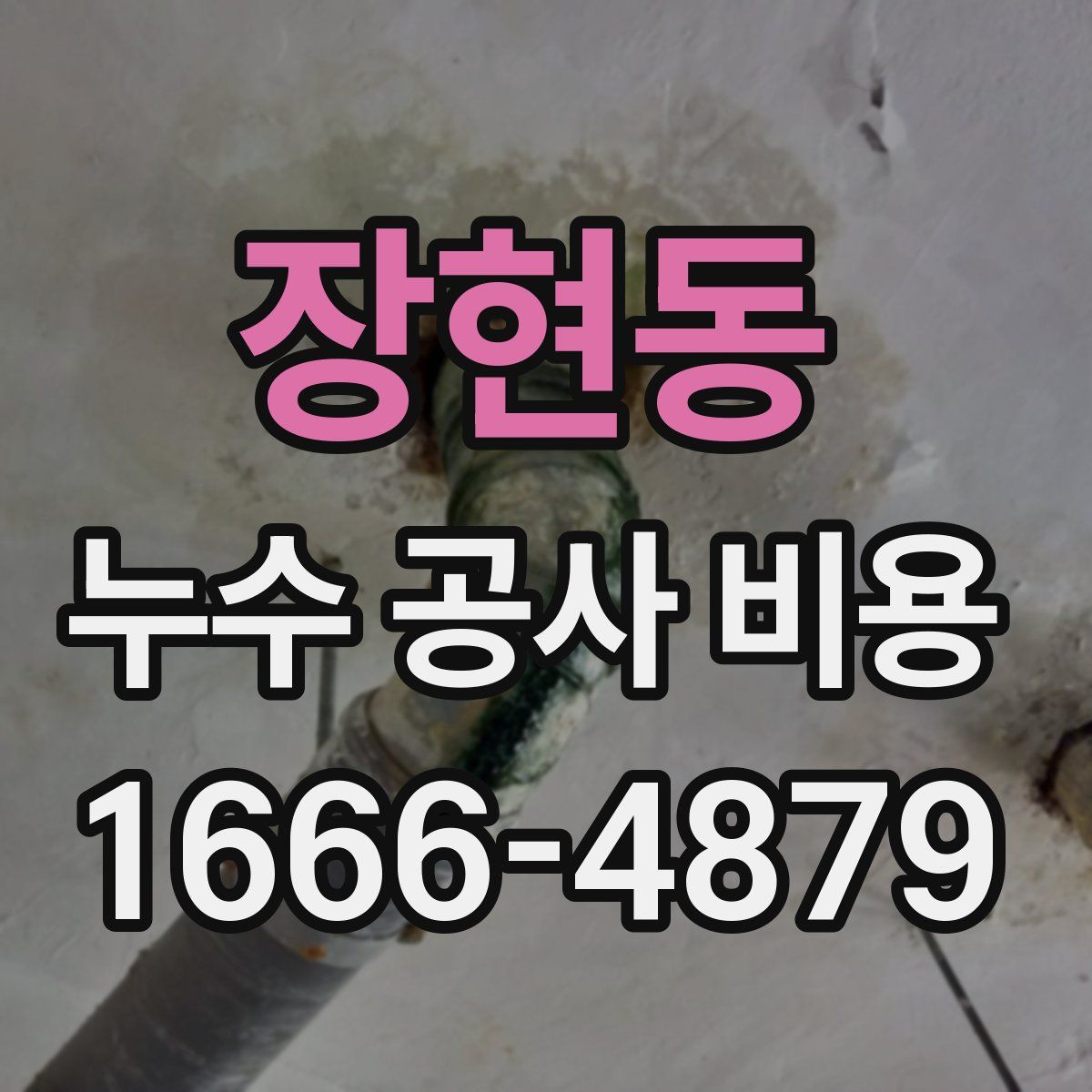 장현동 누수 공사 비용