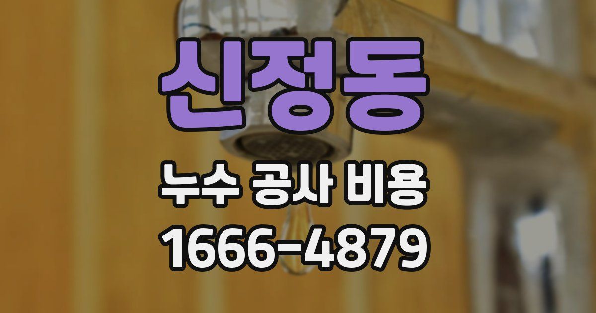 신정동 누수 공사 비용