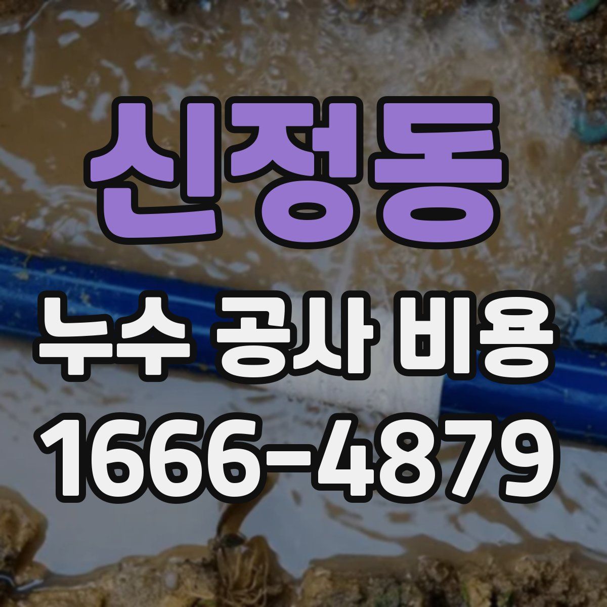 신정동 누수 공사 비용