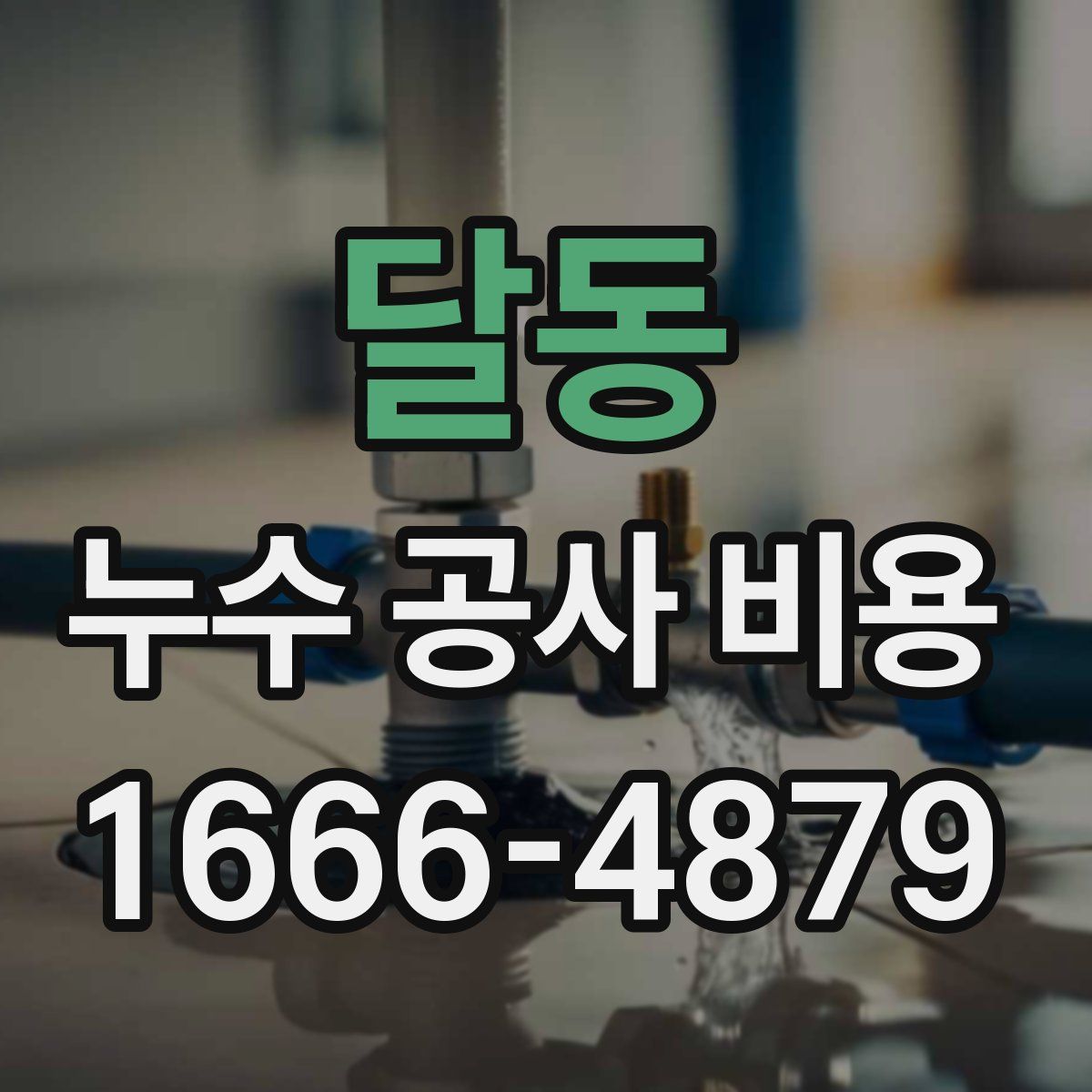 달동 누수 공사 비용