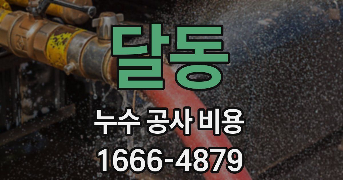 달동 누수 공사 비용
