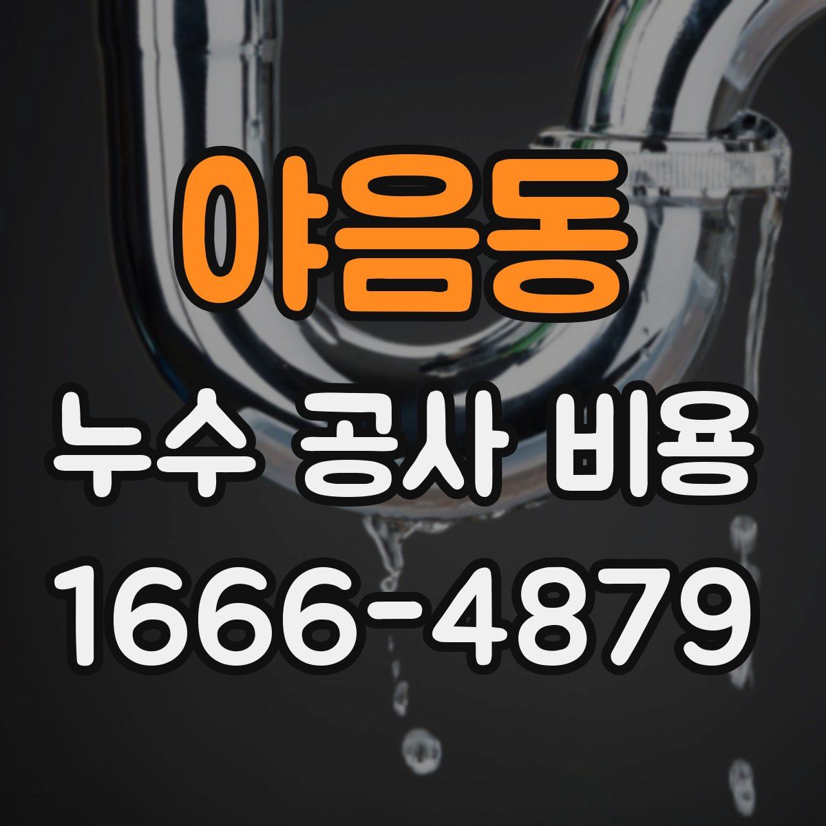 야음동 누수 공사 비용