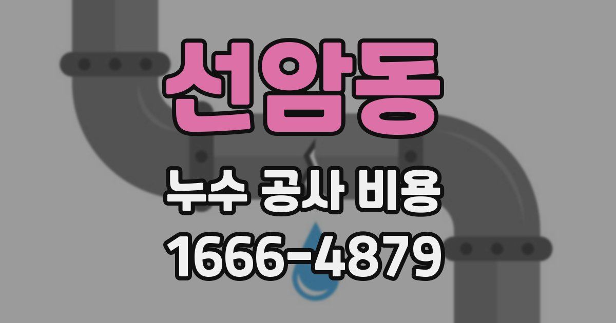 선암동 누수 공사 비용