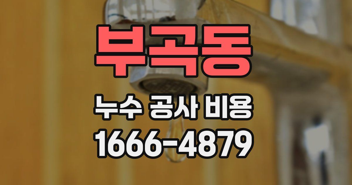 부곡동 누수 공사 비용