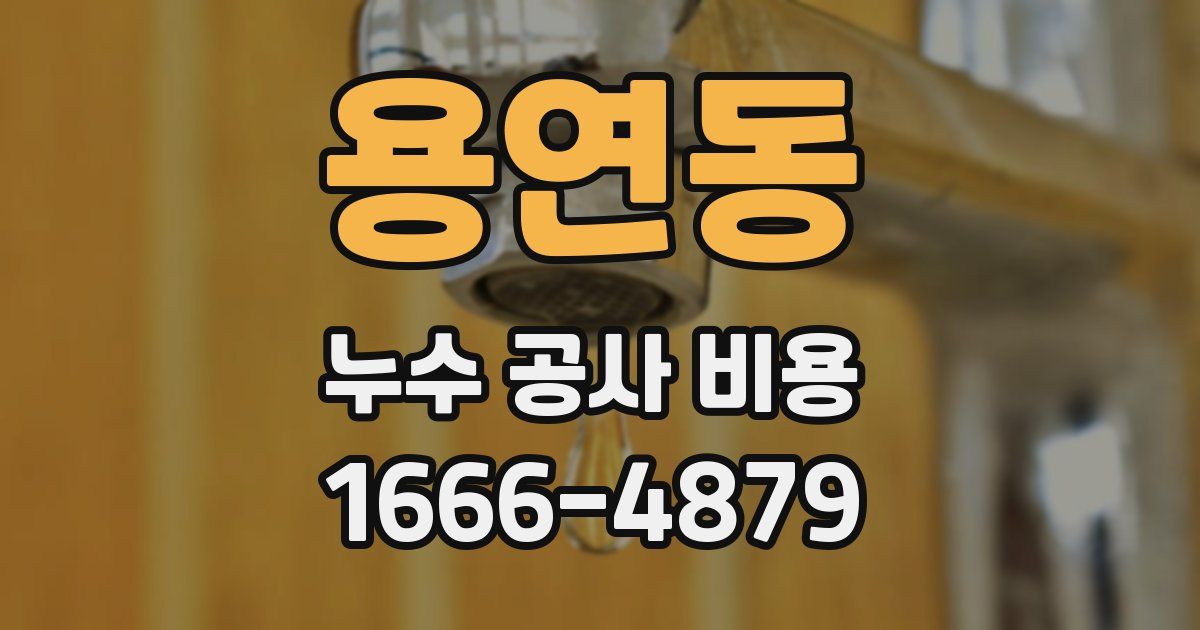 용연동 누수 공사 비용