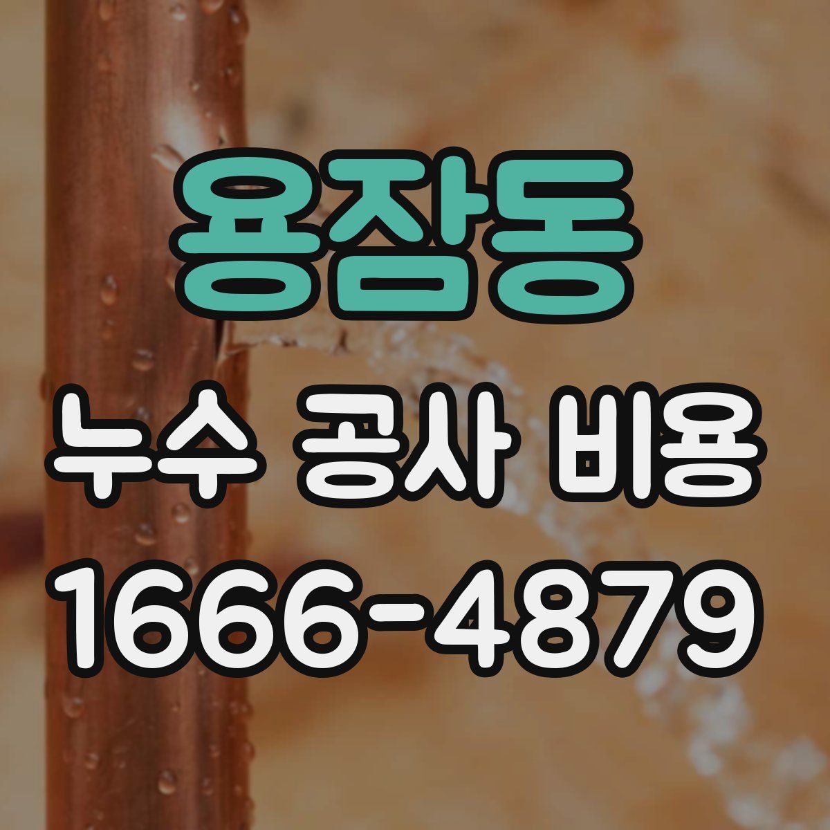 용잠동 누수 공사 비용