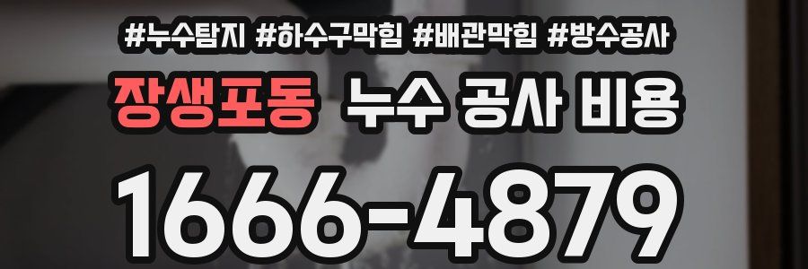 장생포동 누수 공사 비용