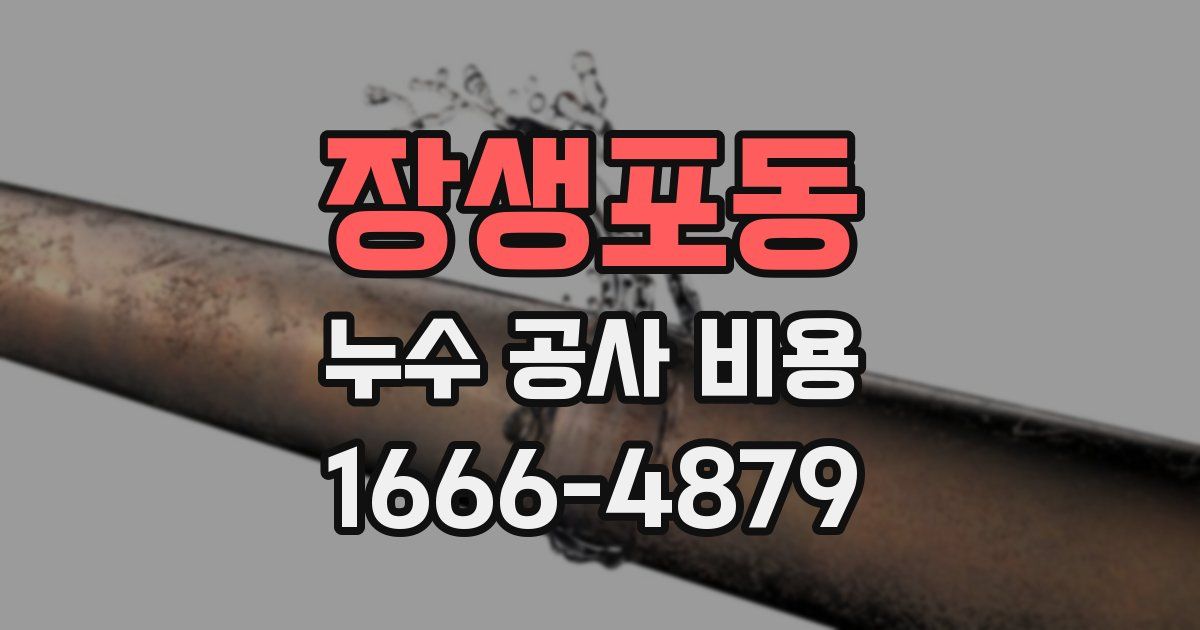 장생포동 누수 공사 비용