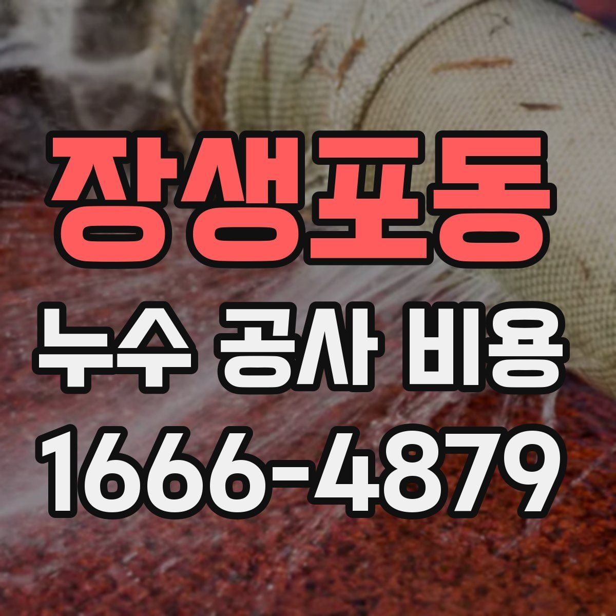 장생포동 누수 공사 비용