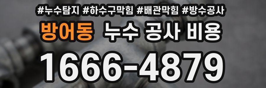 방어동 누수 공사 비용