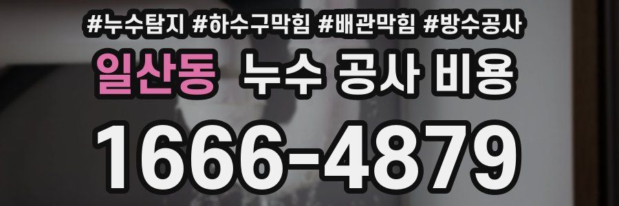 일산동 누수 공사 비용