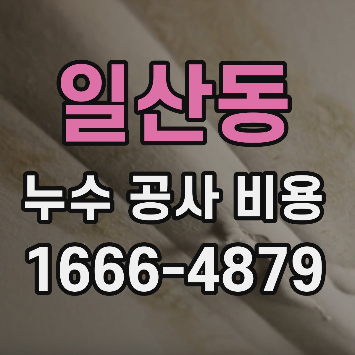 일산동 누수 공사 비용
