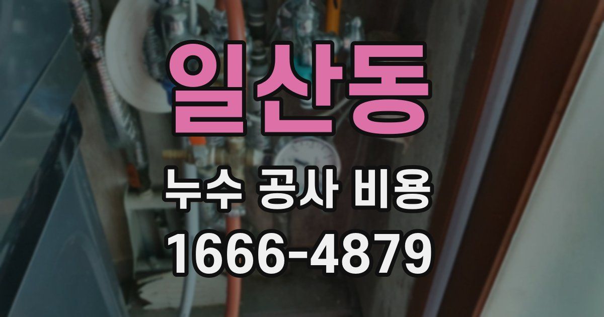 일산동 누수 공사 비용