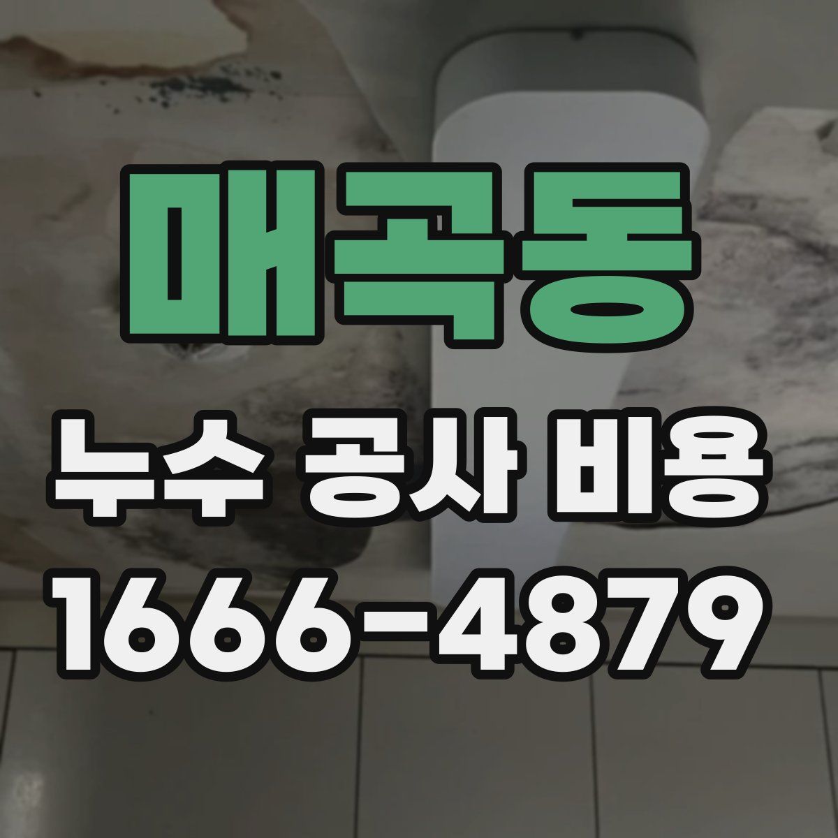 매곡동 누수 공사 비용
