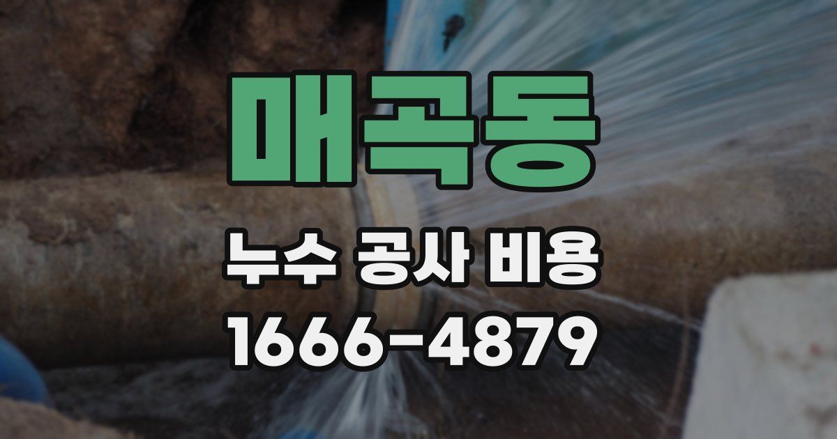 매곡동 누수 공사 비용