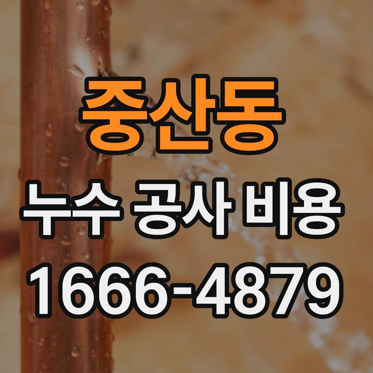 중산동 누수 공사 비용