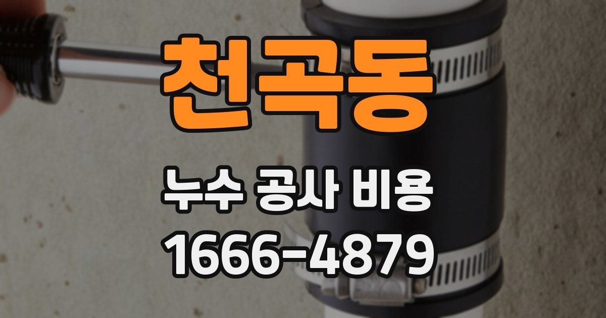 천곡동 누수 공사 비용