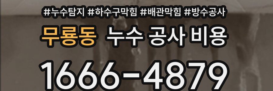 무룡동 누수 공사 비용
