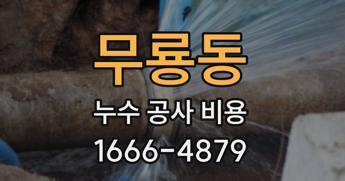 무룡동 누수 공사 비용