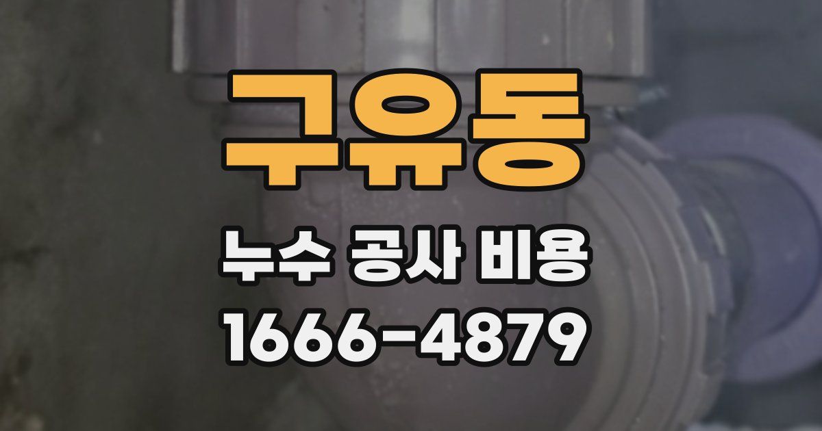구유동 누수 공사 비용