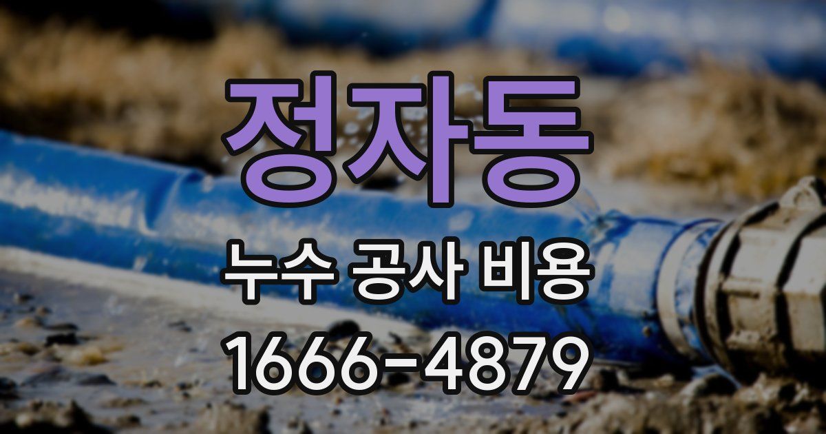 정자동 누수 공사 비용