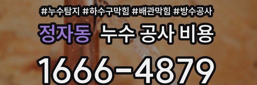정자동 누수 공사 비용