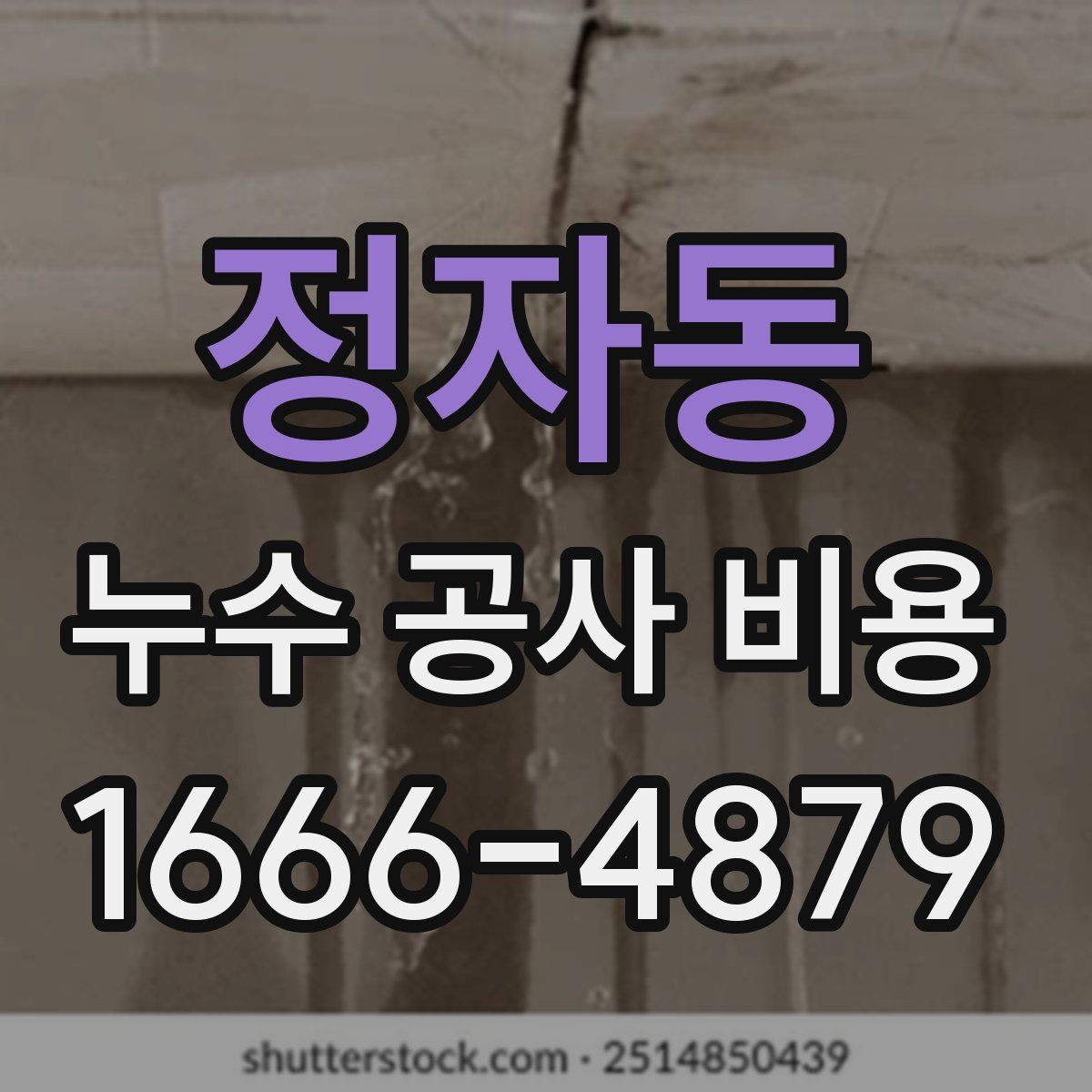 정자동 누수 공사 비용