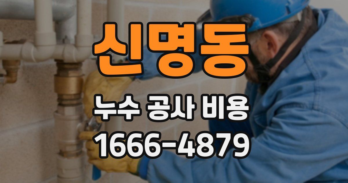 신명동 누수 공사 비용