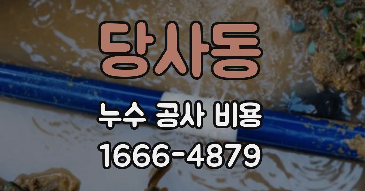 당사동 누수 공사 비용