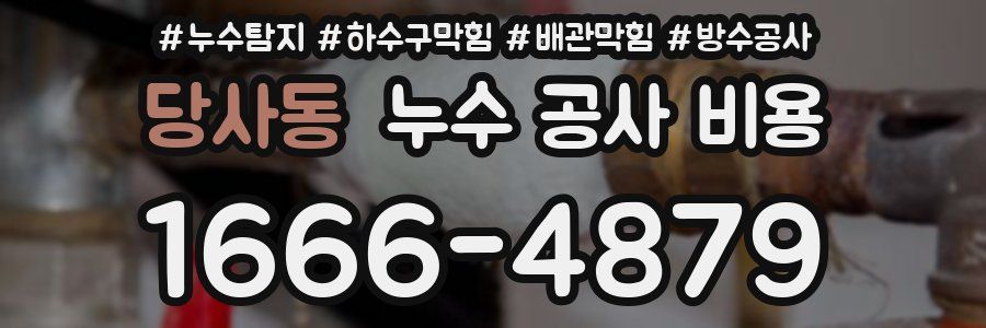 당사동 누수 공사 비용