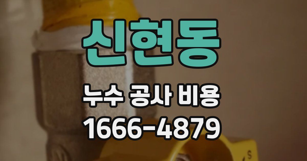 신현동 누수 공사 비용