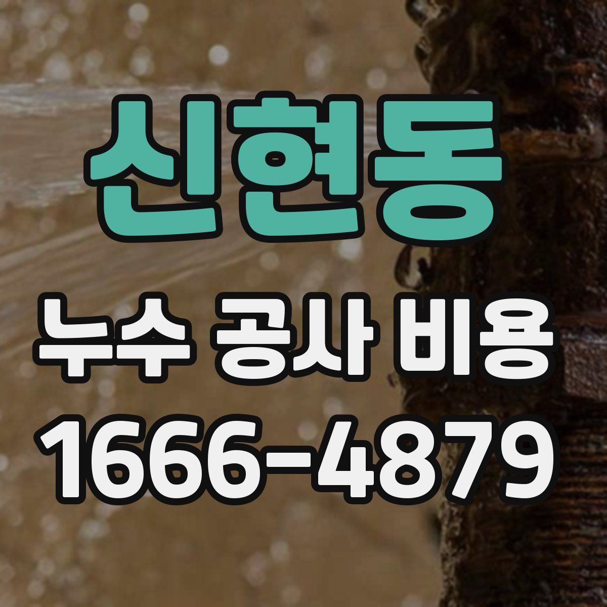 신현동 누수 공사 비용