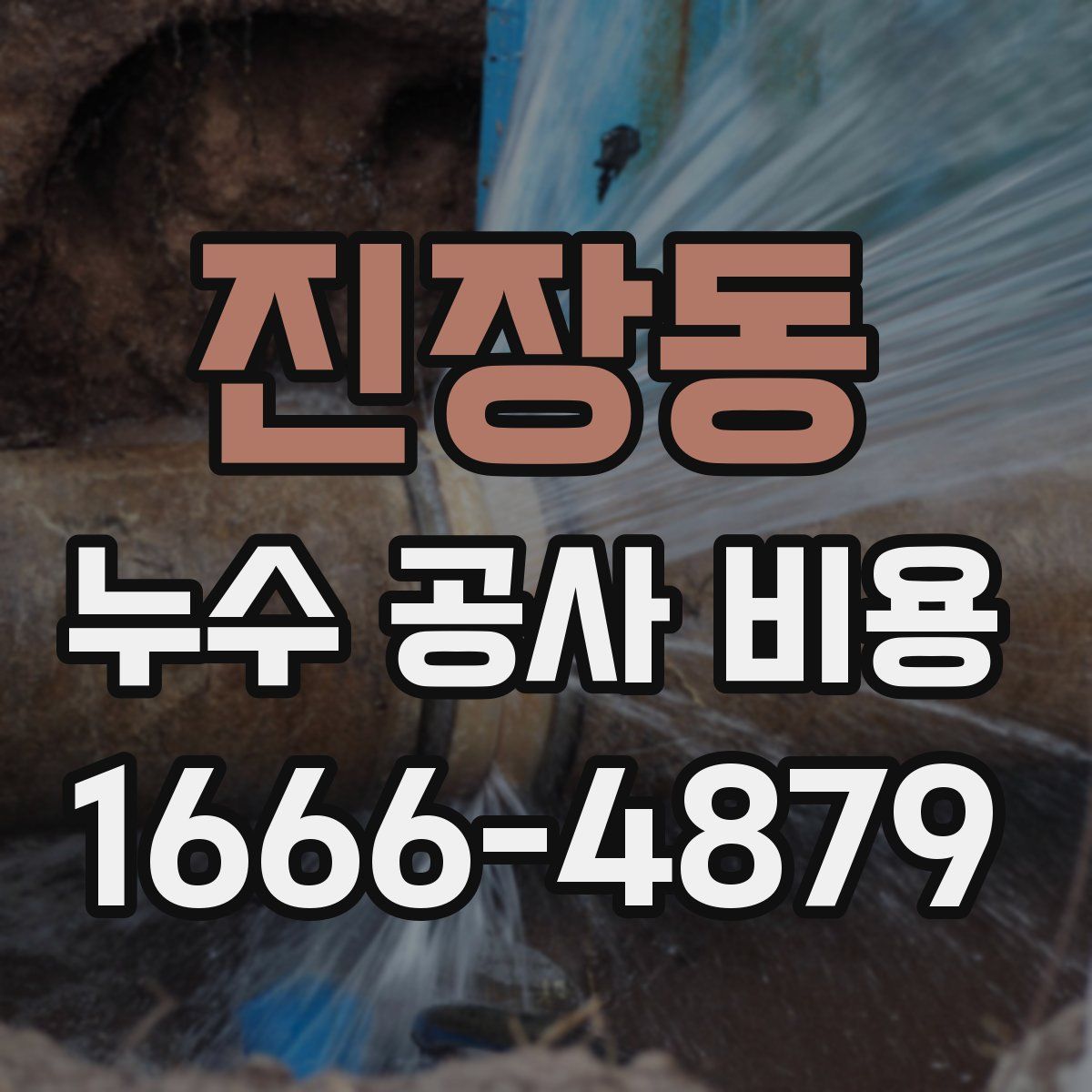 진장동 누수 공사 비용