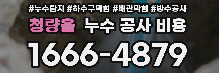 청량읍 누수 공사 비용