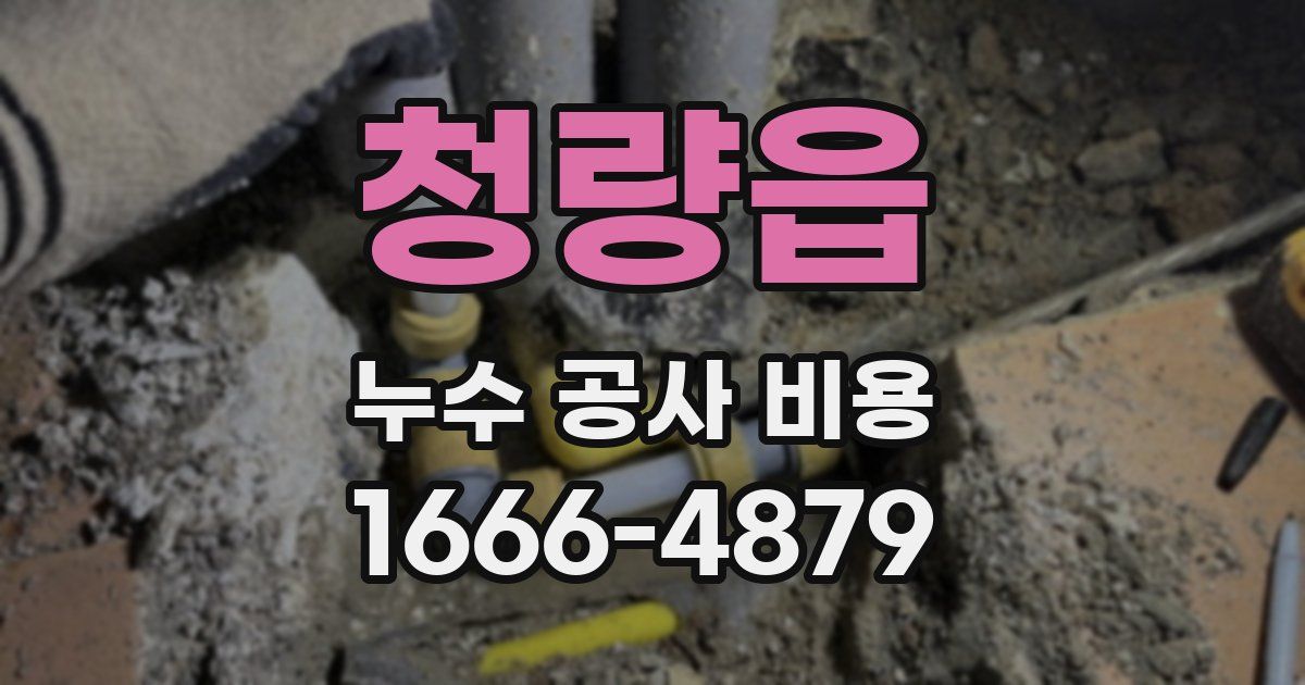 청량읍 누수 공사 비용