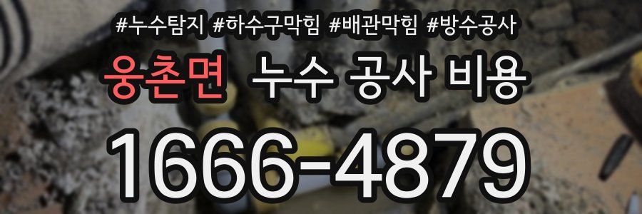웅촌면 누수 공사 비용