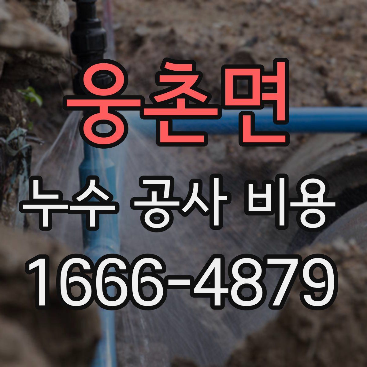 웅촌면 누수 공사 비용